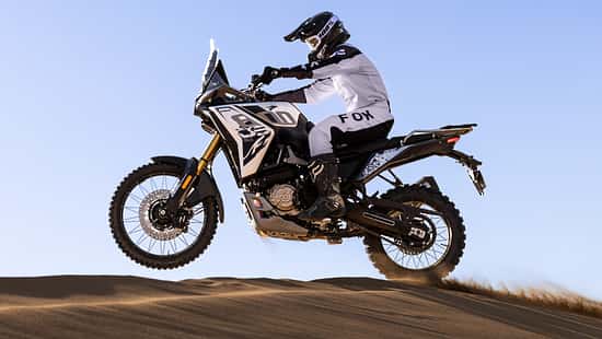 Voge DS800X Rally (2026)