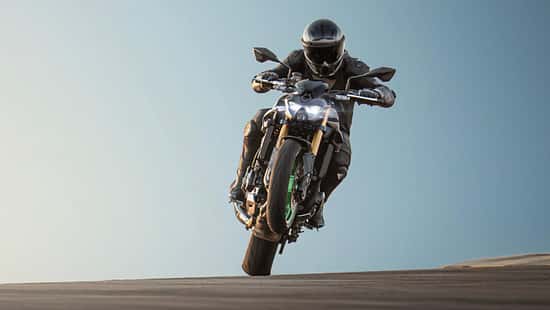 Kawasaki Z 900 (2025)