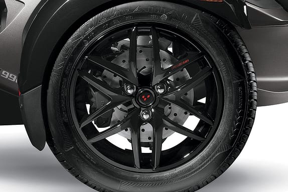 Spyder Roadster RS-S: Die Vorderräder mit sechs Doppelspeichen.