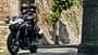 Ducati Multistrada 950 S (GP White).