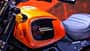 Harley-Davidson X 500 (2023) Harley-Davidson X 500 (2023)