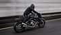 Ducati Monster 821  Rough Crafts
