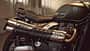 Triumph Scrambler 900 und 1200 2026