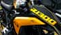 BMW R 1300 GS und R 1300 GS Adventure Aurum Edition Niederlande (08/2026) BMW R 1300 GS und R 1300 GS Adventure Aurum Edition Niederlande (08/2026)