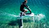 Manta5 Hydrofoiler XE-1 - E-Bike fürs Wasser