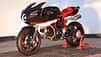 Ducati Euforia von Luca Pagani und Lussiana Disegno
