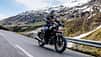 Harley-Davidson X 440 Hero Indien (06/2023)