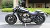 Benda Chinchilla 450 BD 450 (2023)