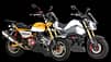 Kitaco Big Bore Kit 181 Kubik dohc 4V Tuning Honda Monkey Dax Grom MSX 125 (2023)