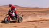 Ducati DesertX Rally (2024)