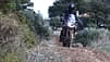 Triumph Tiger 900 2024 Fahrbericht