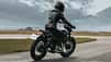 Mutt DRK-01 125 und 250 (2024)