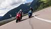 Honda CBR 650 R und Suzuki GSX-8R Alpen-Test