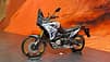 Voge DS 800 Rally 2025