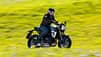 Erster Test Suzuki GSX-8T und GSX-8TT