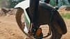 Neue Kawasaki KLE für 2026 Teaser (09/2025)