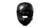 Aegis Rider Vision Aegis Rider Vision