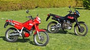 Honda NX 650 Dominator im Fokus