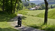 Odenwald