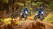 Yamaha WR 250 F Modelljahr 2020