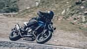 Husqvarna Vitpilen + Svartpilen 701 + 401 (2020)