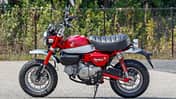 Honda Z125 Monkey