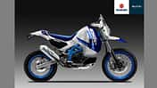 Suzuki 650 Enduro Concept Oberdan Bezzi