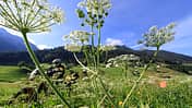 RIDE 07 - Tirol - Stubaier Alpen Tourentipp