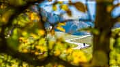 Ride 7 Tourentipp- Spessart Tour