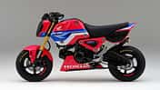 Honda MSX 125 Grom Modelljahr 2021 HRC Version