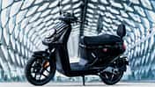 Niu Mqi Black
