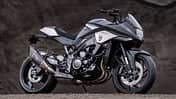 Suzuki Lucky Katana
