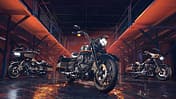 Harley-Davidson Apex Factory Custom Paint
