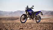 Yamaha Ténéré 700 Modelljahr 2023