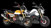 Kitaco Big Bore Kit 181 Kubik dohc 4V Tuning Honda Monkey Dax Grom MSX 125 (2023)