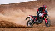 Ducati DesertX Rally (2024)