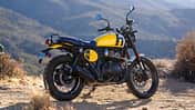 Royal Enfield Interceptor Bear 650 für 2025 Royal Enfield Interceptor Bear 650 für 2025