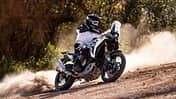 Voge DS 800 Rally 2025