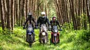 Honda CRF 300 Rally, Kove 450 Rally, Yamaha Ténéré 700 Extreme Offroad-Vergleich
