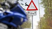 Wildunfälle mit Motorradfahrern