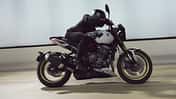 Triumph Trident 800 (2026) Triumph Trident 800 (2026)
